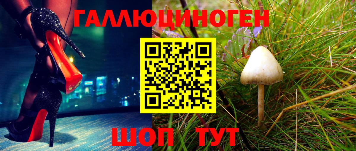 Ставрополь  Галлюциногенные грибы MAGIC MUSHROOMS  Вход с VPN 
