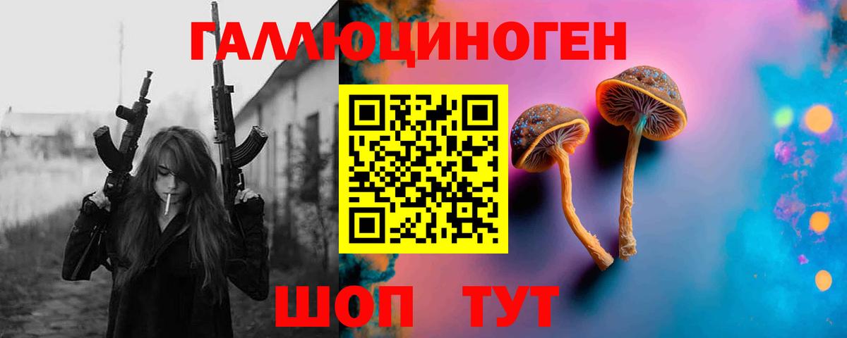 Псилоцибиновые грибы прущие грибы Ставрополь